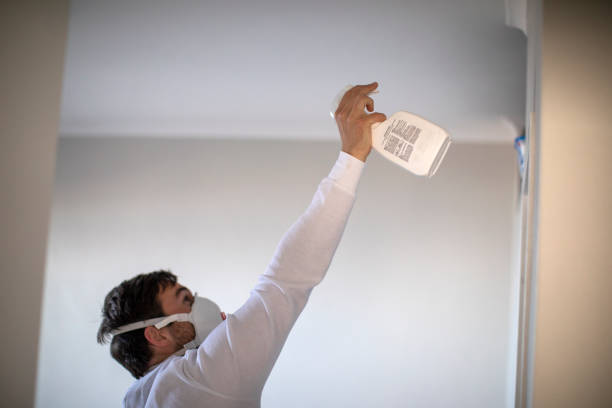 Reliable Catalina, AZ Mold Removal Solutions